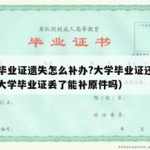 大学毕业证遗失怎么补办?大学毕业证还能用吗（大学毕业证丢了能补原件吗）