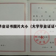 大学毕业证书图片大小（大学毕业证证书照片）