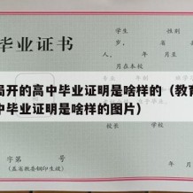 教育局开的高中毕业证明是啥样的（教育局开的高中毕业证明是啥样的图片）