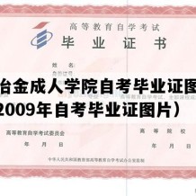 重庆冶金成人学院自考毕业证图片模板（2009年自考毕业证图片）