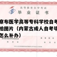 乌兰察布医学高等专科学校自考毕业证实拍图片（内蒙古成人自考毕业证丢了怎么补办）