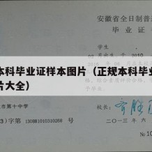 正规本科毕业证样本图片（正规本科毕业证样本图片大全）