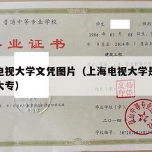 上海电视大学文凭图片（上海电视大学是本科还是大专）