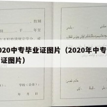 2020中专毕业证图片（2020年中专毕业证图片）