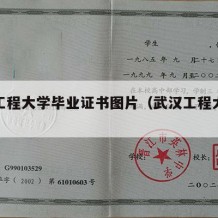 武汉工程大学毕业证书图片（武汉工程大学毕业照）