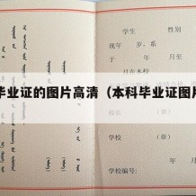 本科毕业证的图片高清（本科毕业证图片外皮）