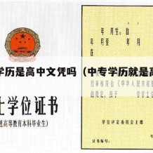 中专学历是高中文凭吗（中专学历就是高中学历吗）