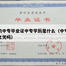 现在的中专毕业证中专学历是什么（中专毕业证是文凭吗）