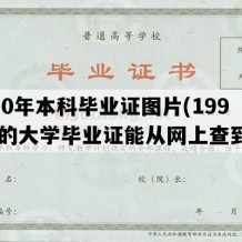 1990年本科毕业证图片(1990年的大学毕业证能从网上查到吗)