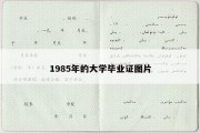 1985年的大学毕业证图片