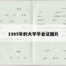 1985年的大学毕业证图片