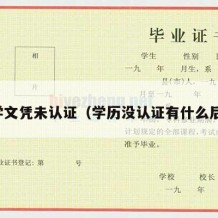 大学文凭未认证（学历没认证有什么后果）