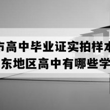 临清市高中毕业证实拍样本(2010年山东地区高中有哪些学校）