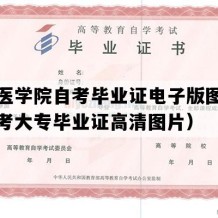 蚌埠医学院自考毕业证电子版图（安徽自考大专毕业证高清图片）