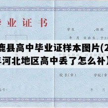 涿鹿县高中毕业证样本图片(2023年河北地区高中丢了怎么补）