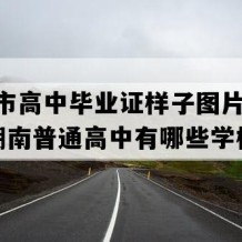 资兴市高中毕业证样子图片(2003年湖南普通高中有哪些学校)