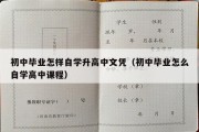 初中毕业怎样自学升高中文凭（初中毕业怎么自学高中课程）