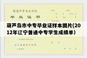 葫芦岛市中专毕业证样本图片(2012年辽宁普通中专学生成绩单）