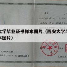 西安大学毕业证书样本图片（西安大学毕业证书样本图片）