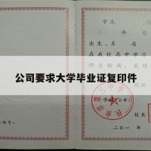 公司要求大学毕业证复印件