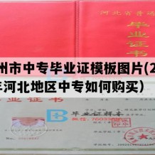 霸州市中专毕业证模板图片(2006年河北地区中专如何购买）