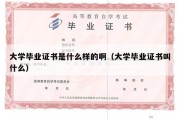 大学毕业证书是什么样的啊（大学毕业证书叫什么）