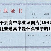 广平县高中毕业证图片(1997年河北普通高中是什么样子的）