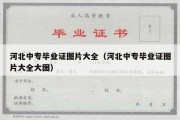 河北中专毕业证图片大全（河北中专毕业证图片大全大图）