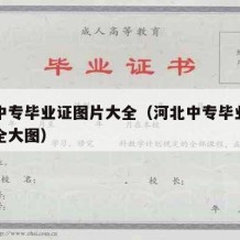 河北中专毕业证图片大全（河北中专毕业证图片大全大图）