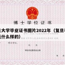 复旦大学毕业证书图片2022年（复旦毕业证是什么样的）