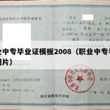 职业中专毕业证模板2008（职业中专毕业证图片）