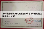 本科毕业证书本科文凭怎么填写（本科文凭上面是什么文凭）