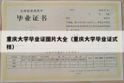 重庆大学毕业证图片大全（重庆大学毕业证式样）