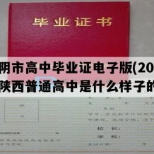 华阴市高中毕业证电子版(2010年陕西普通高中是什么样子的）