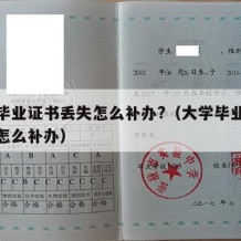 大学毕业证书丢失怎么补办?（大学毕业证书掉了怎么补办）