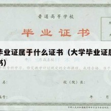 大学毕业证属于什么证书（大学毕业证属于什么证书）