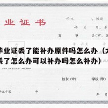 大学毕业证丢了能补办原件吗怎么办（大学毕业证丢了怎么办可以补办吗怎么补办）