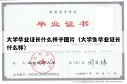 大学毕业证长什么样子图片（大学生毕业证长什么样）