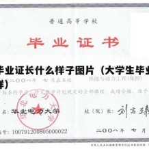 大学毕业证长什么样子图片（大学生毕业证长什么样）