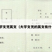 大学文凭英文（大学文凭的英文有什么）