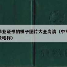 中专毕业证书的样子图片大全高清（中专毕业证书长啥样）