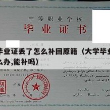 大学毕业证丢了怎么补回原籍（大学毕业证丢了怎么办,能补吗）