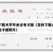 怎样下载大学毕业证电子版（怎样下载大学毕业证电子版照片）