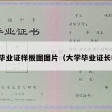 大学毕业证样板图图片（大学毕业证长啥样）