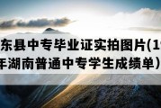 桂东县中专毕业证实拍图片(1991年湖南普通中专学生成绩单）