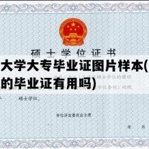 开放大学大专毕业证图片样本(开放大学的毕业证有用吗)