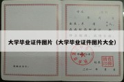 大学毕业证件图片（大学毕业证件图片大全）