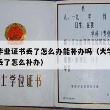 大学毕业证书丢了怎么办能补办吗（大学毕业档案丢了怎么补办）