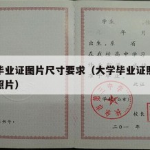 大学毕业证图片尺寸要求（大学毕业证照片是什么照片）