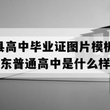 东阿县高中毕业证图片模板(2005年山东普通高中是什么样子的）